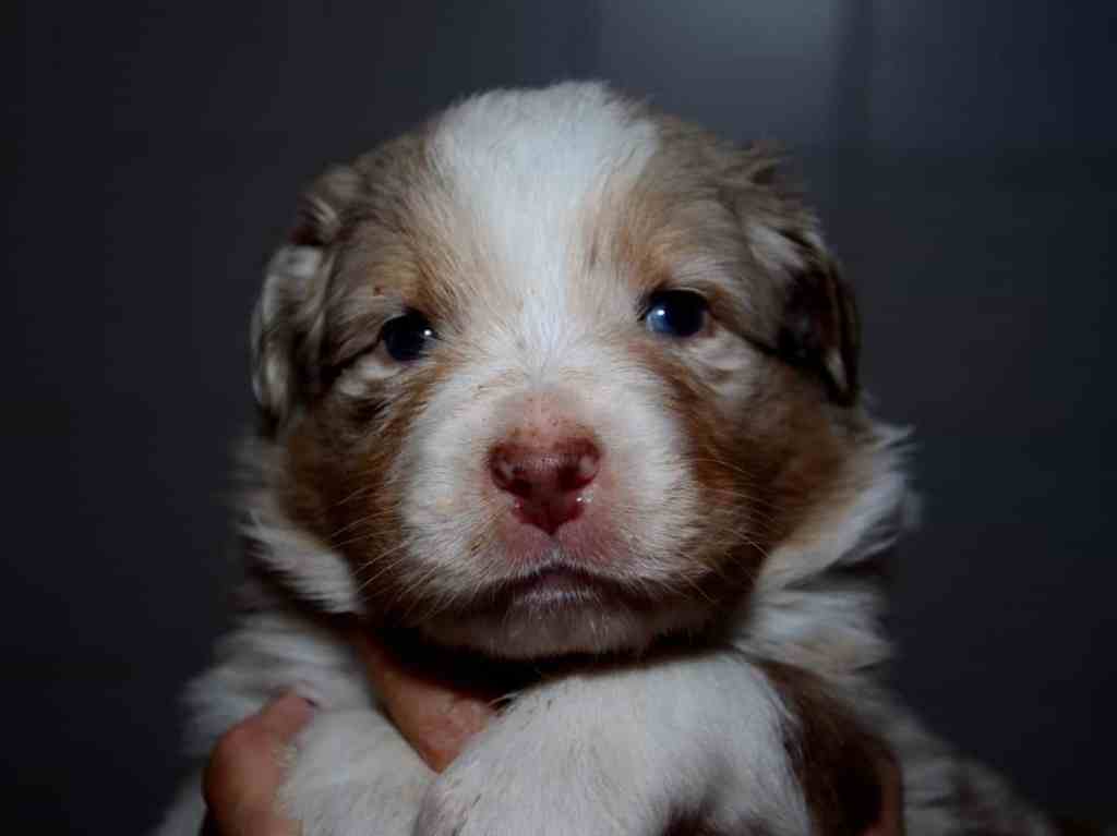 Ik vind het gewoon lekker…