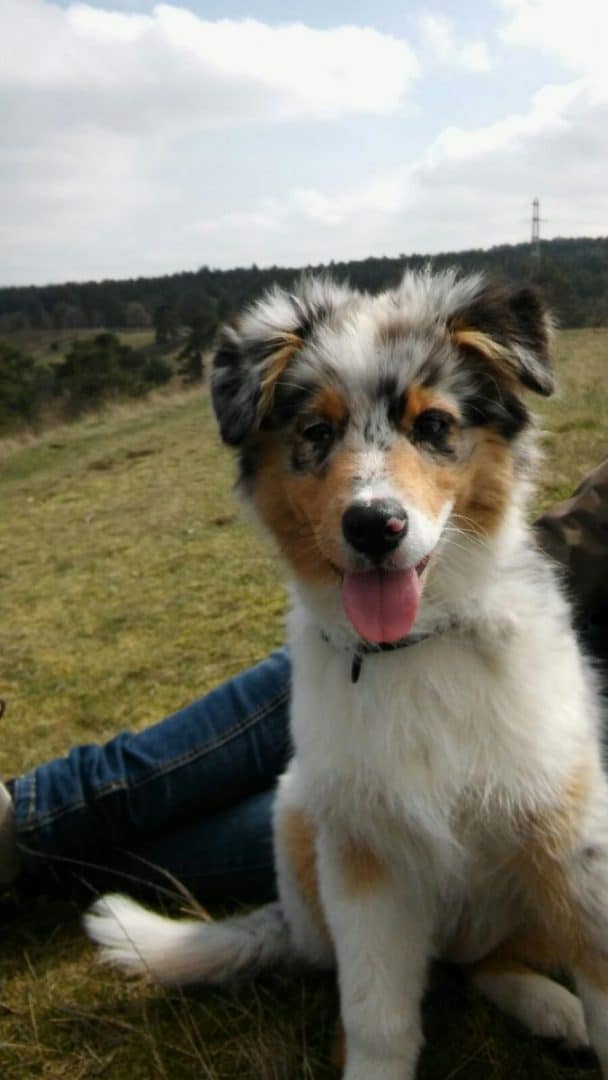 Zomaar op een vrijdag avond en de altijd vrolijke Yuna