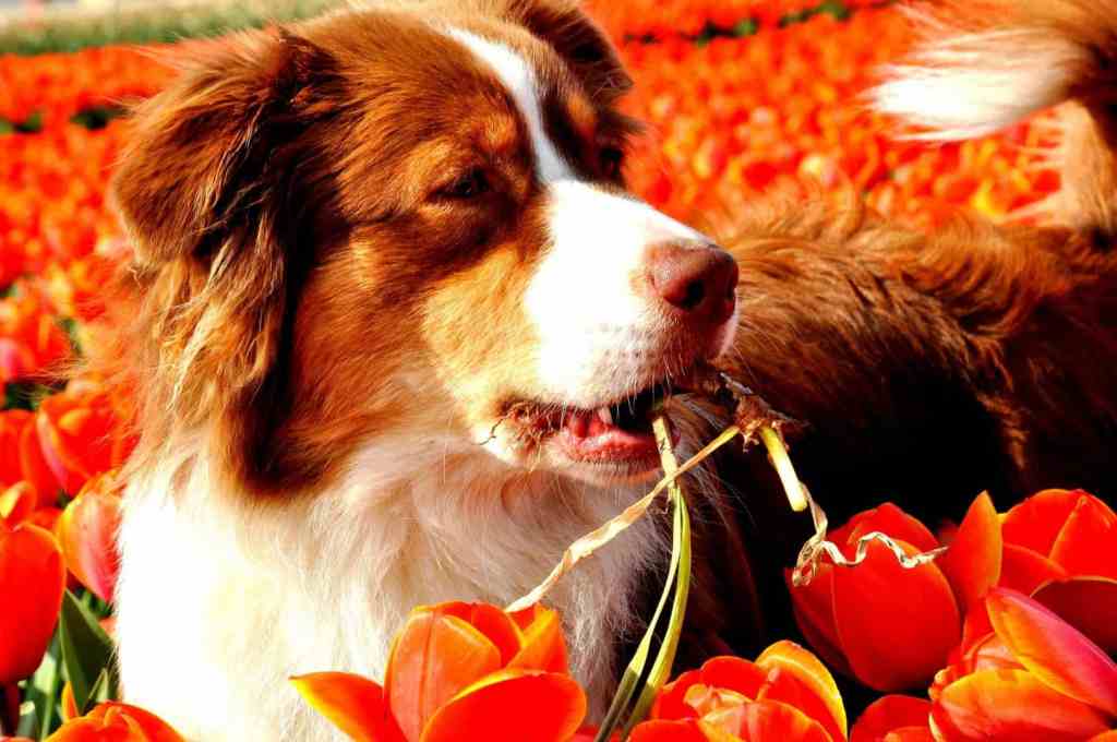 Zo’n puber is heel ondernemend, gaat er ook anders uitzien, zo grappig om allemaal mee te&nbsp;maken