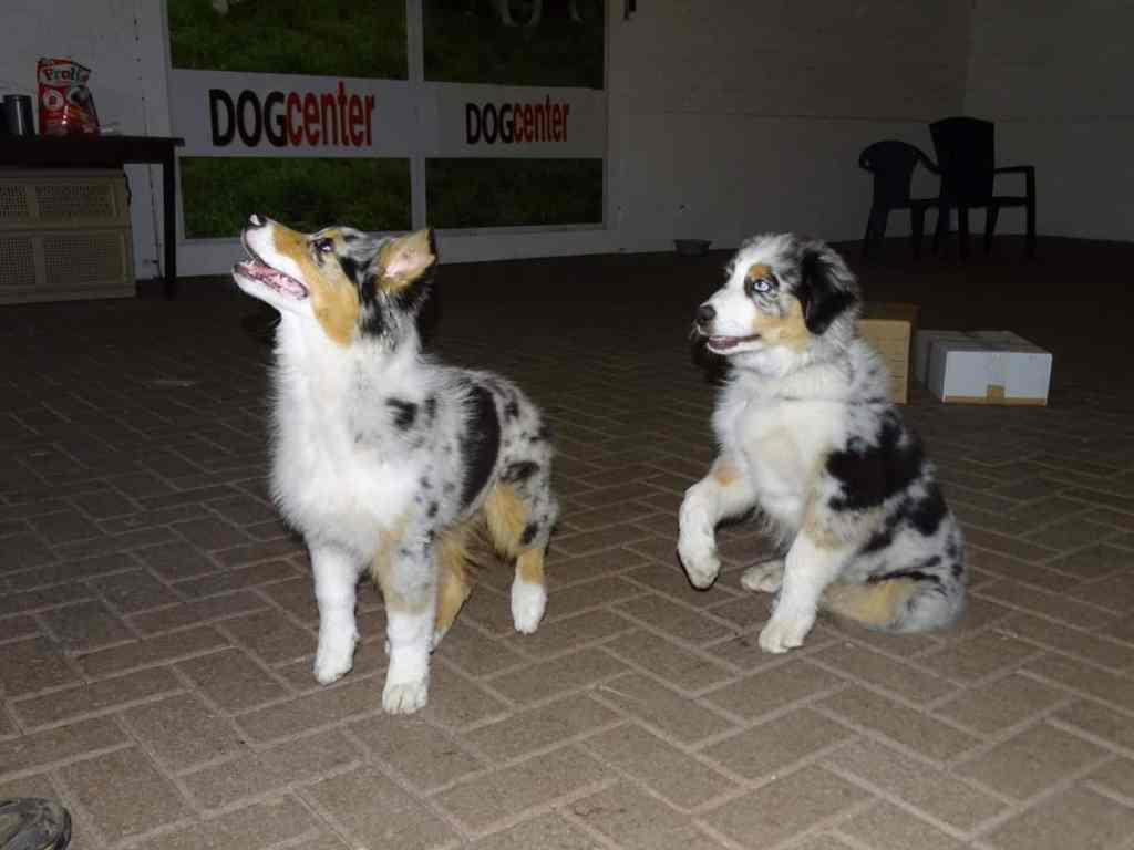 Foto’s van Abel Mexx en Aladin Quincy, Yuna, bij het Jubileumweekend van de ASCN