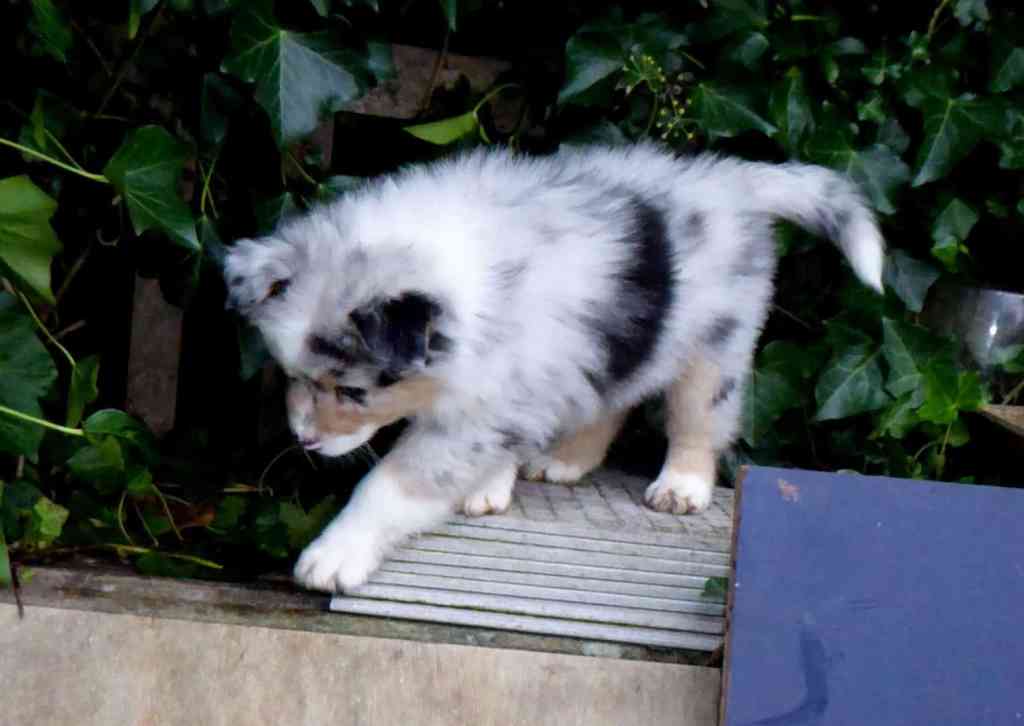 Tess geeft nog een paar keer per dag een voeding…