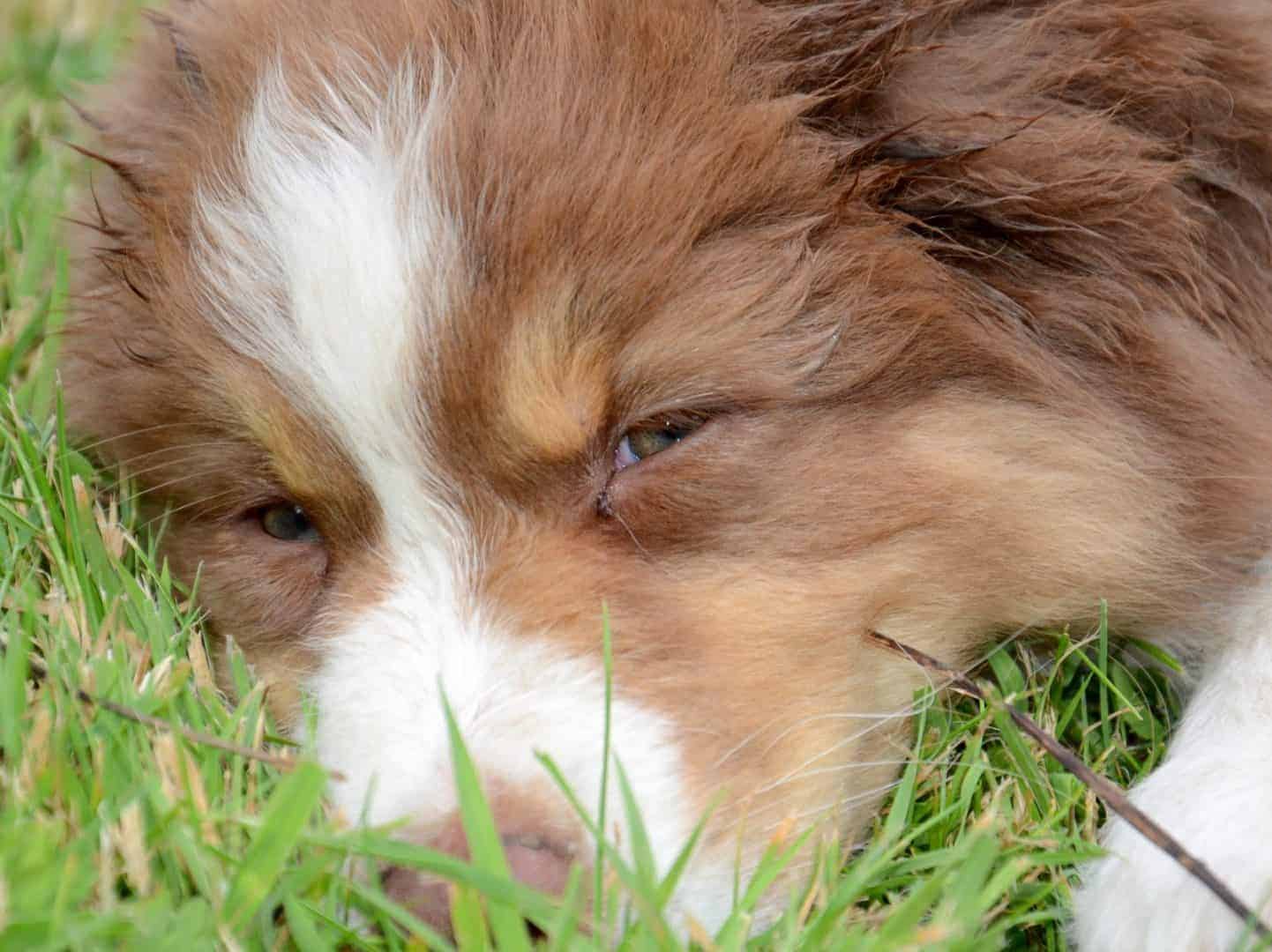 but I hear everything, and take a peek