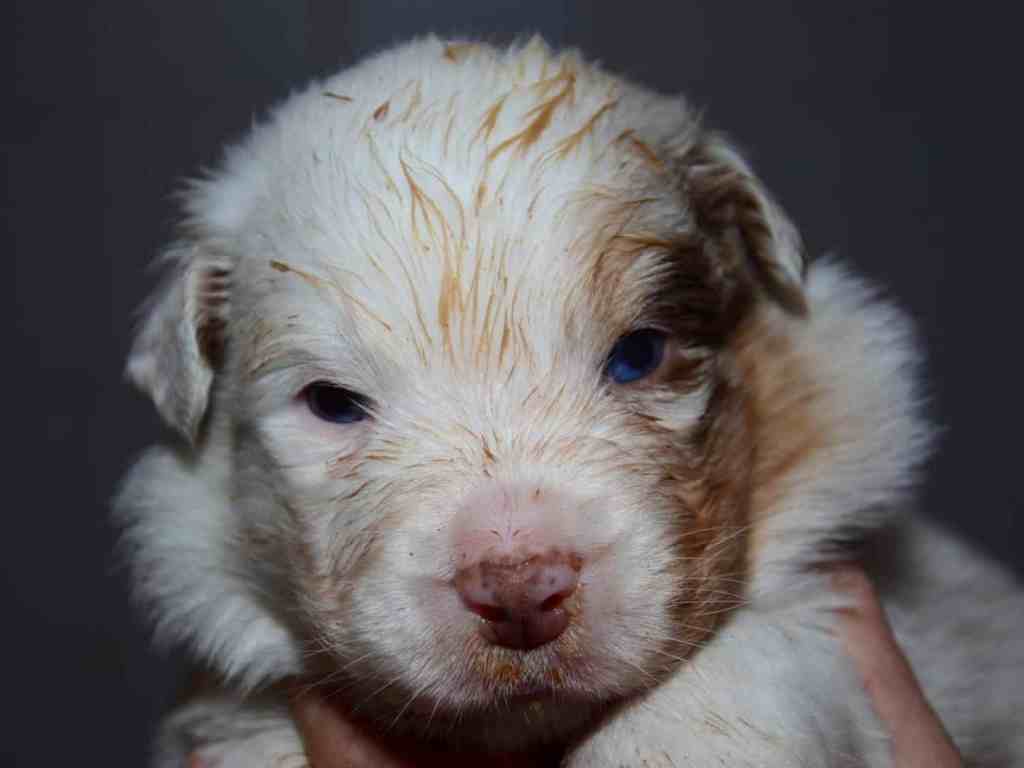 Het smaakt naar meer…