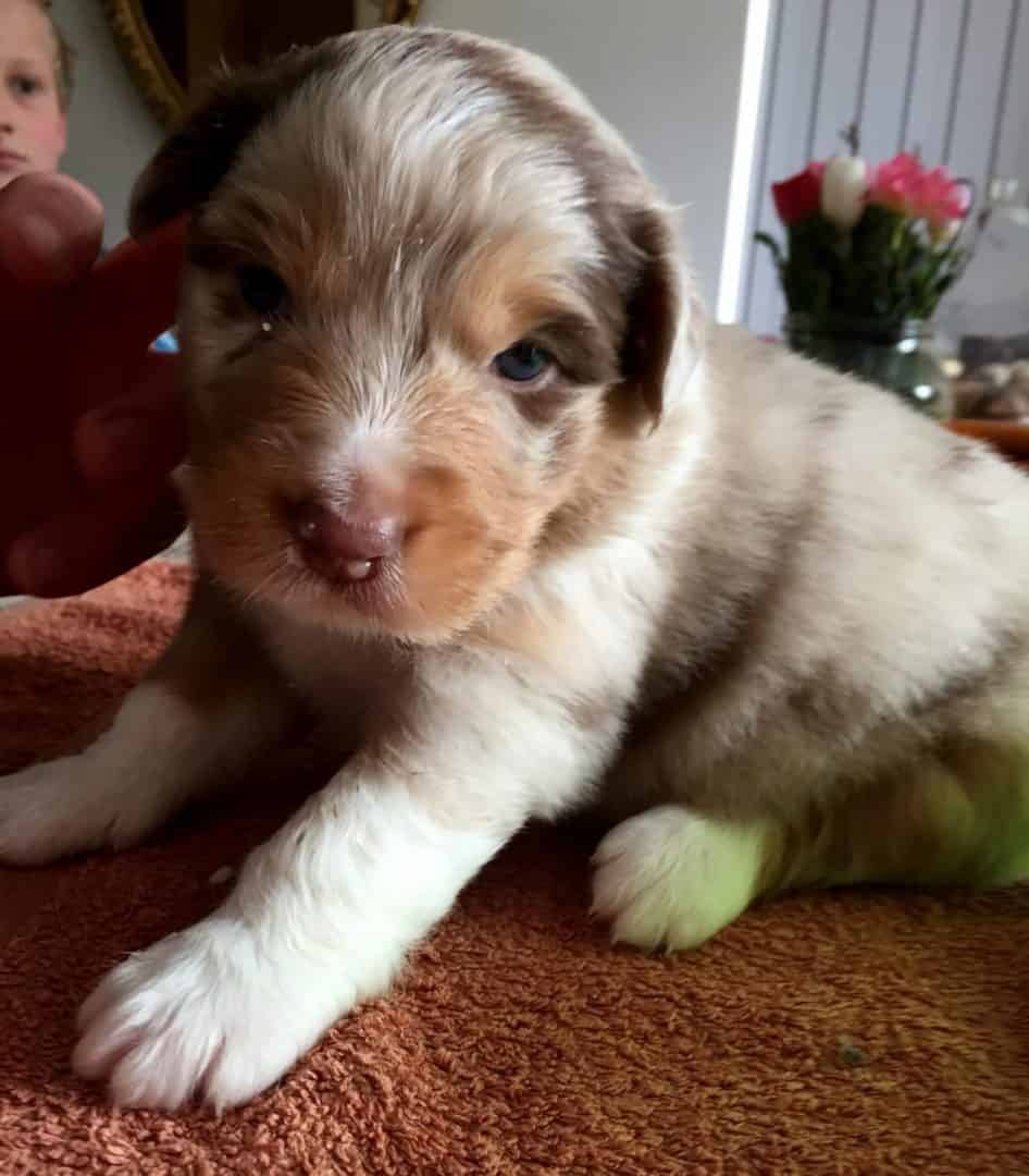 Tobyaandoenlijkeblik