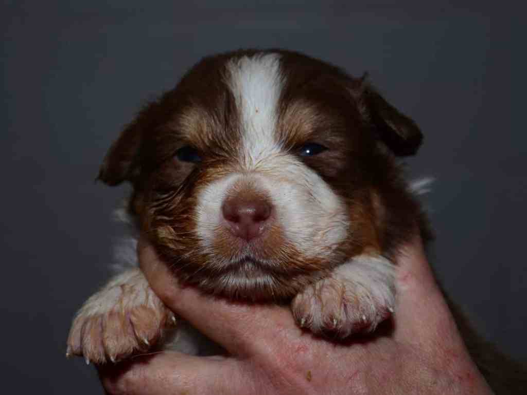 Nou, tartaar is lekker, maar dit smaakt ook prima…