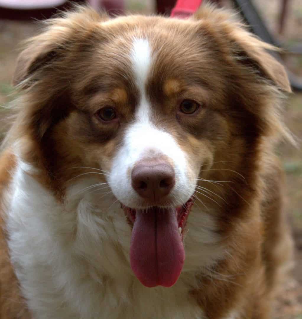 Bijna 10 maanden, we hadden een reünie, dat was genieten!