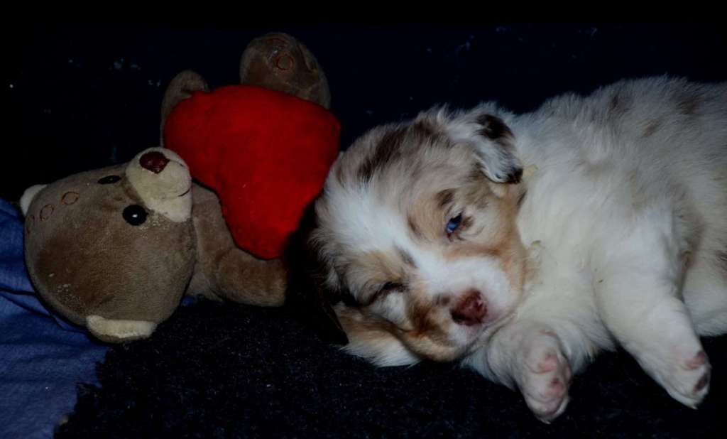 En als de slaapplaats schoongemaakt wordt, dan gaan we protesterend in een grote bench, daarna weer moe in een opgemaakt&nbsp;bedje…