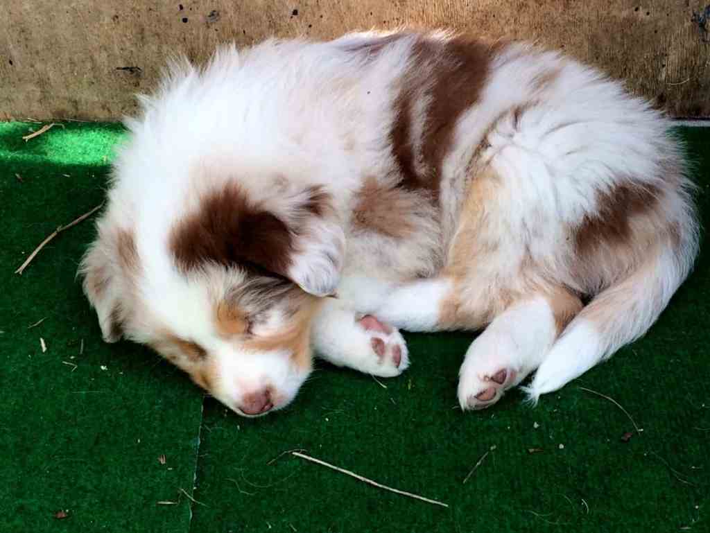 Leuke foto’s door bezoek&nbsp;gemaakt