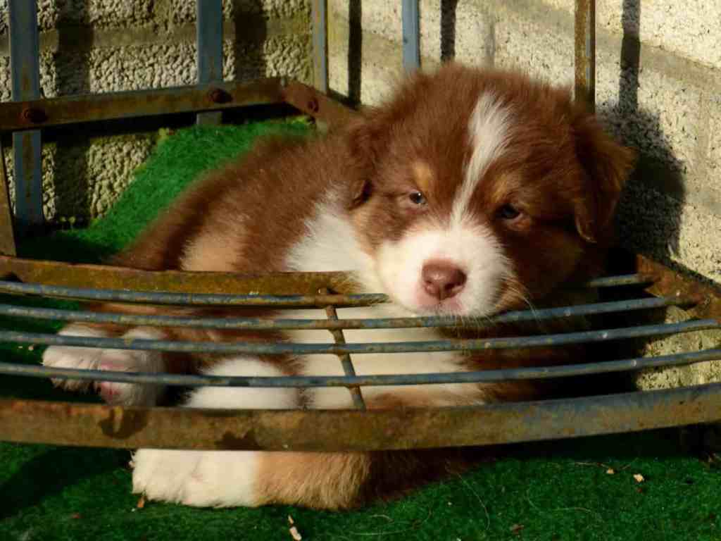 Van buitenspelen word je moe…