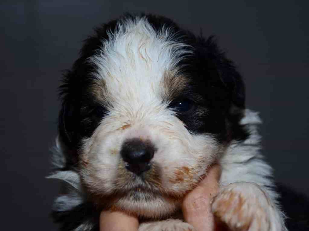 Het was lekkerrrr…